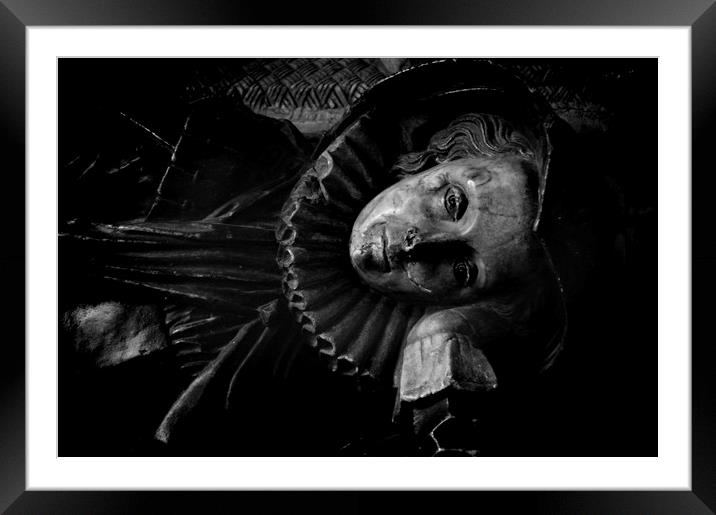 Lady Leventhorpe, awake after a very long sleep. Framed Mounted Print by Adrian Wilkins