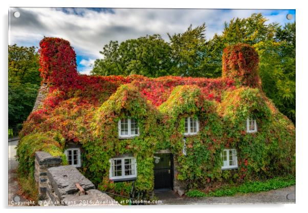 Autumn Tea House Acrylic by Adrian Evans