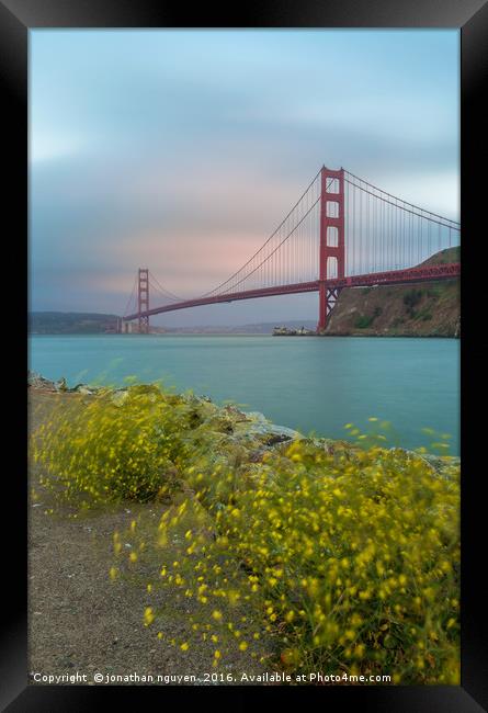 Wind, Fog and the Bay Framed Print by jonathan nguyen