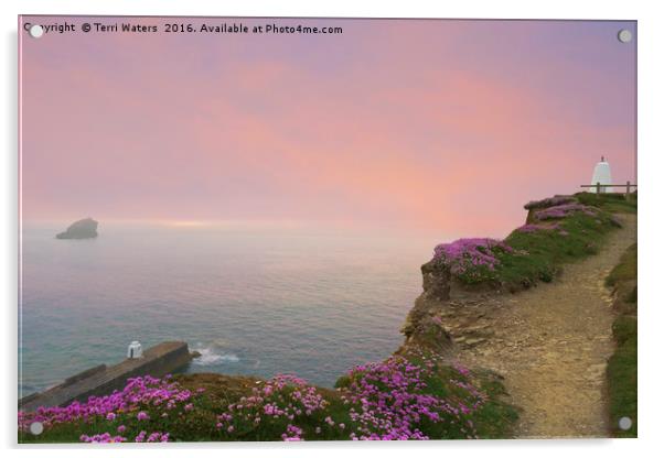 Thrift Flowers Portreath Cornwall Acrylic by Terri Waters