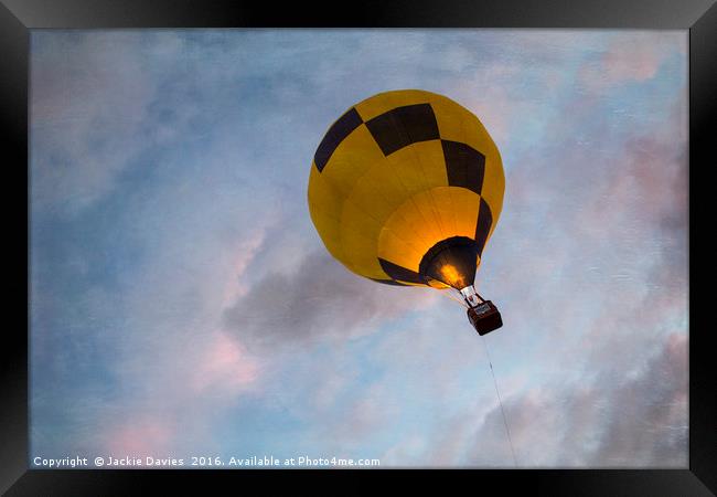 Flying High Framed Print by Jackie Davies