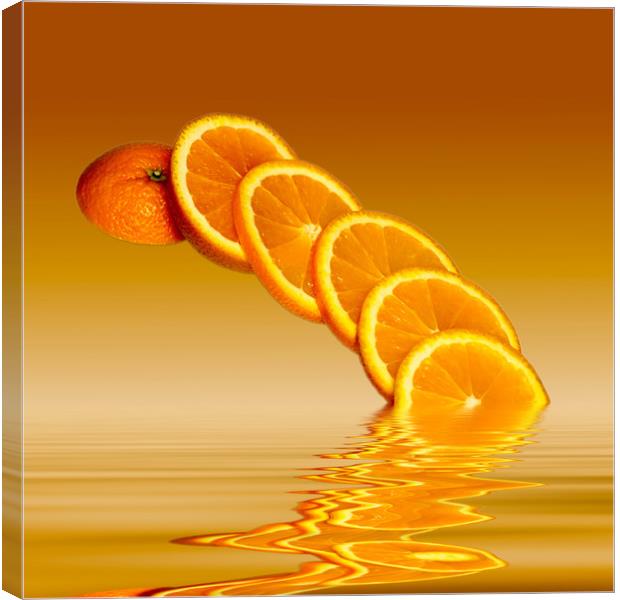 Slices Orange Citrus Fruit Canvas Print by David French