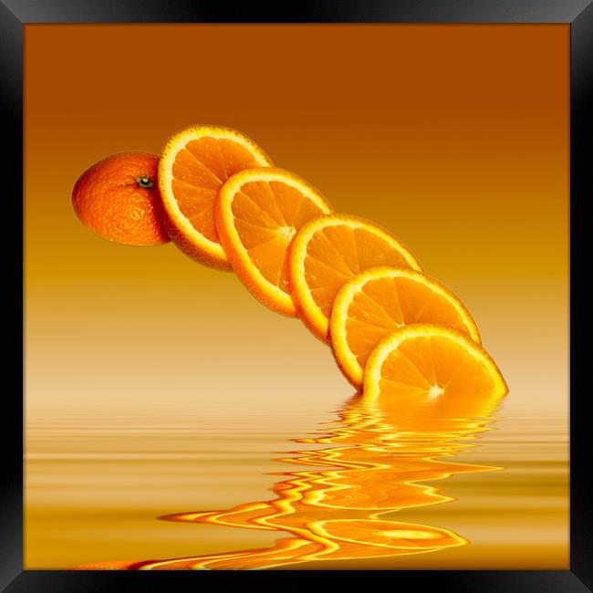 Slices Orange Citrus Fruit Framed Print by David French
