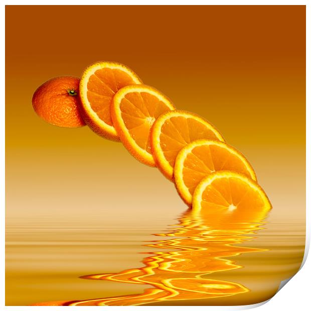Slices Orange Citrus Fruit Print by David French