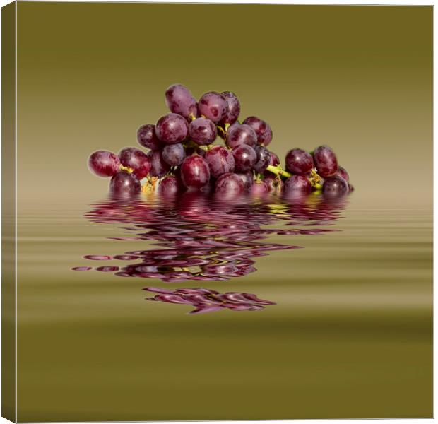 Krissy Gold Grapes to wine Canvas Print by David French