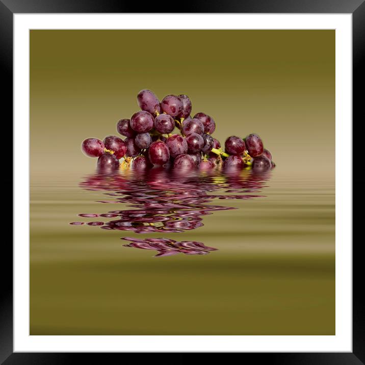 Krissy Gold Grapes to wine Framed Mounted Print by David French