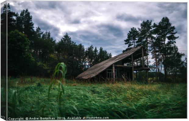 Old wooden abandoned house in the forest at twilig Canvas Print by Andrei Bortnikau