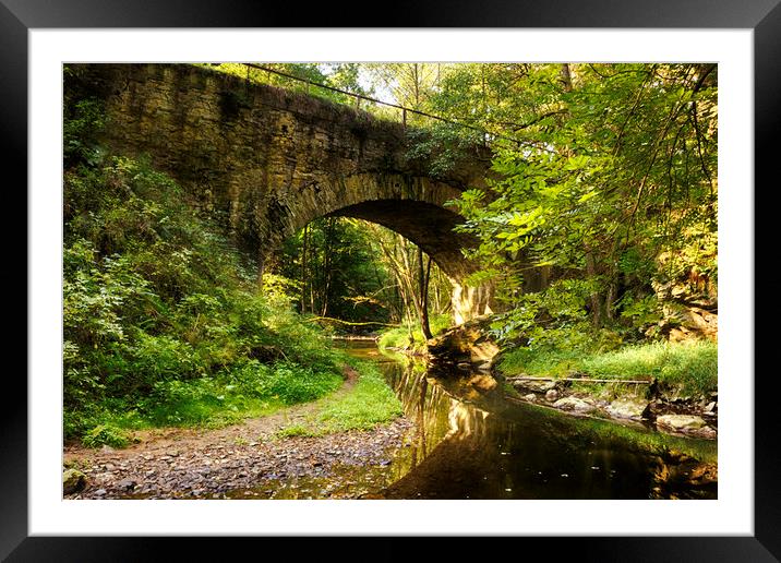 Old bridge in forest. Framed Mounted Print by Sergey Fedoskin
