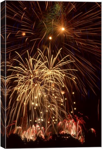 Fireworks behind trees Canvas Print by Alfredo Bustos