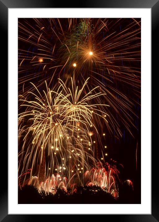 Fireworks behind trees Framed Mounted Print by Alfredo Bustos