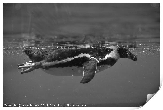 penguin underwater view Print by michelle rook