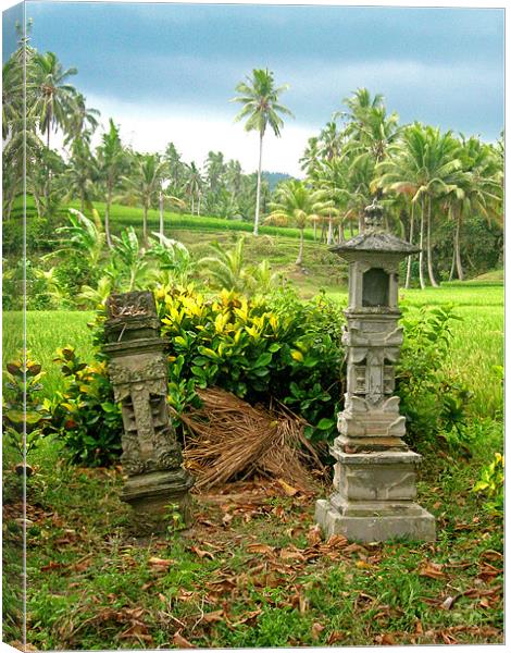 Balinese Rice Field Shrines Canvas Print by Mark Sellers