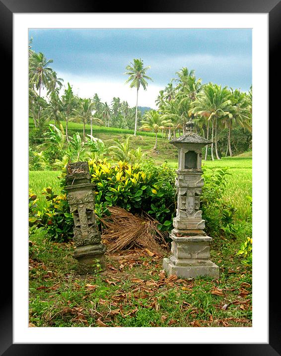 Balinese Rice Field Shrines Framed Mounted Print by Mark Sellers