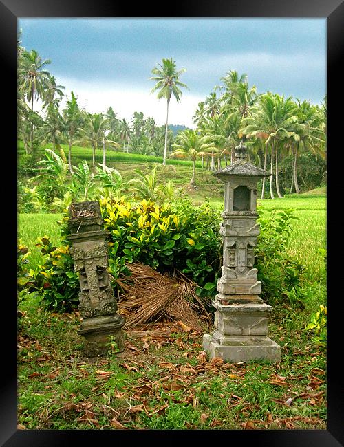 Balinese Rice Field Shrines Framed Print by Mark Sellers