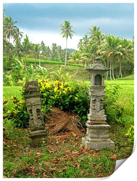 Balinese Rice Field Shrines Print by Mark Sellers