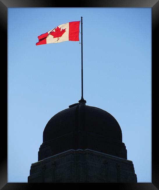 Canadian Flag (1) Framed Print by Mark Sellers