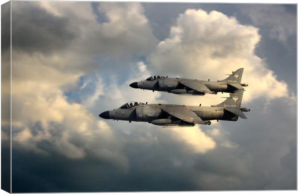 Sea Harriers Canvas Print by J Biggadike