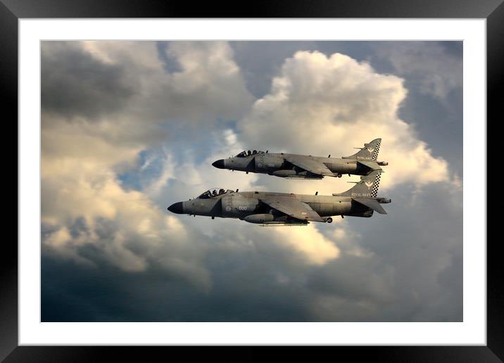 Sea Harriers Framed Mounted Print by J Biggadike