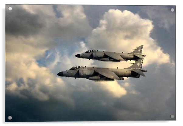 Sea Harriers Acrylic by J Biggadike