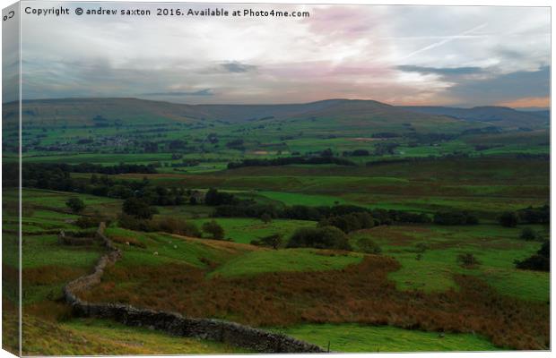 WENSLEYDALE COUNTRYSIDE Canvas Print by andrew saxton