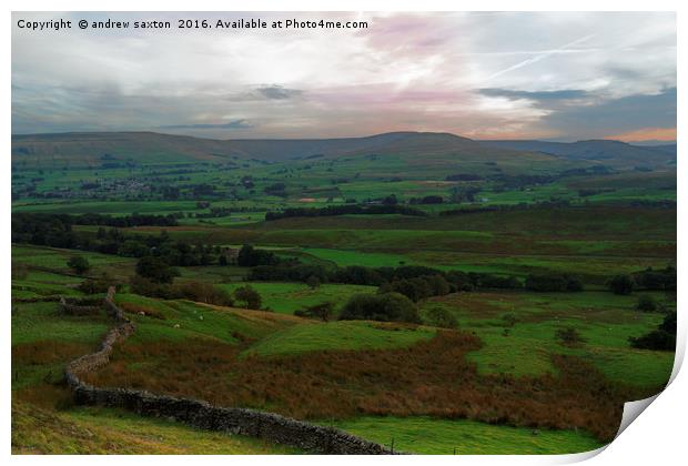 WENSLEYDALE COUNTRYSIDE Print by andrew saxton
