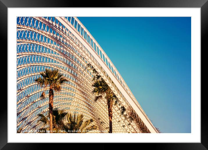 Beautiful Palm Trees In Greenhouse Framed Mounted Print by Radu Bercan