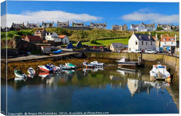 St Abbs harbour Canvas Print by Angus McComiskey