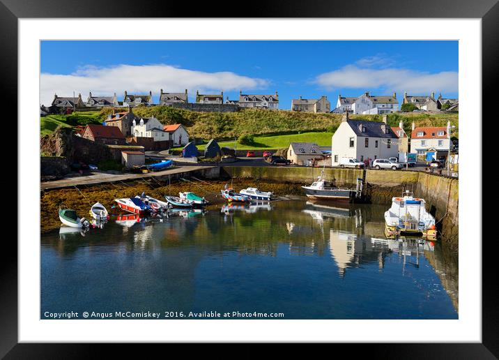 St Abbs harbour Framed Mounted Print by Angus McComiskey