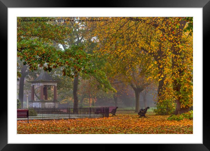 Autumn. Framed Mounted Print by Angela Aird