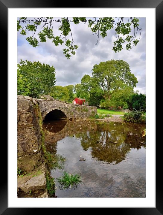 Malham Beck Reflections Framed Mounted Print by Jason Connolly