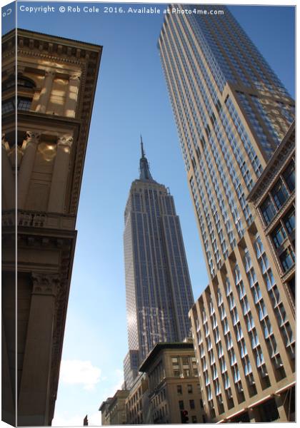 Empire State Building, New York City, USA Canvas Print by Rob Cole