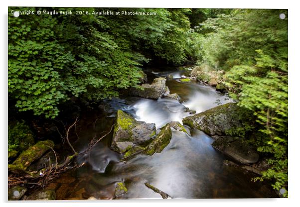 East Lyn river, North Devon, UK Acrylic by Magdalena Bujak