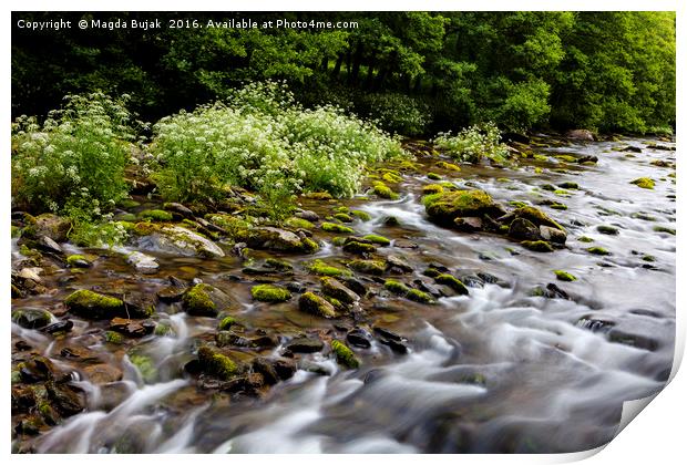 East Lyn river, North Devon, UK Print by Magdalena Bujak