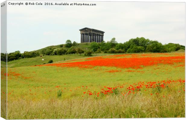 Poppies at Penshaw Monument, County Durham, Englan Canvas Print by Rob Cole