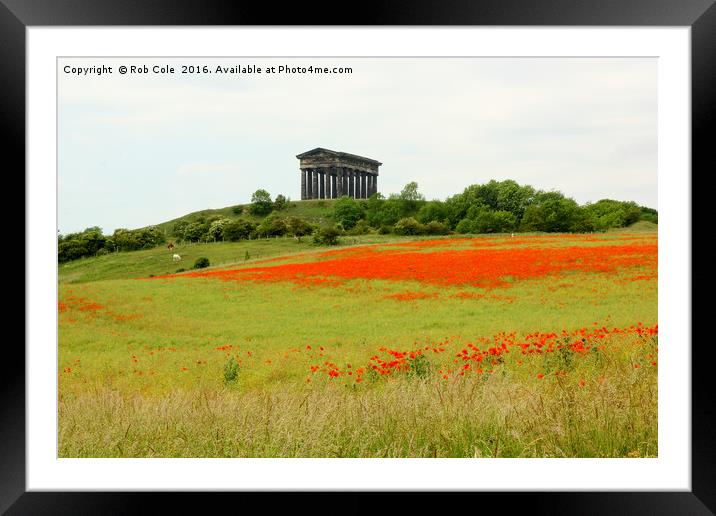 Poppies at Penshaw Monument, County Durham, Englan Framed Mounted Print by Rob Cole