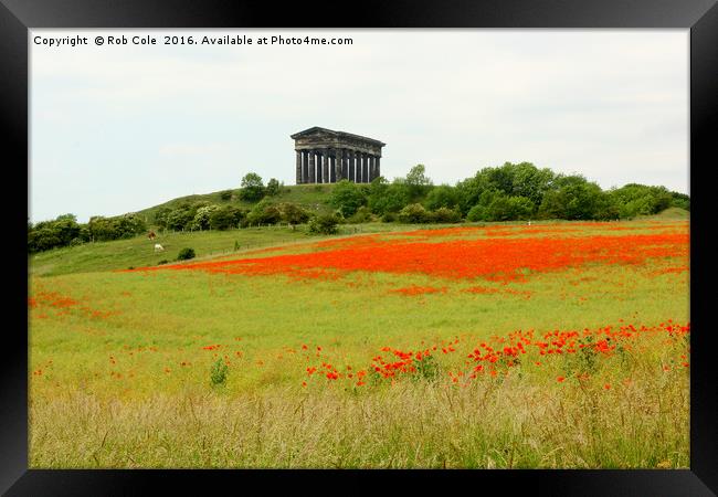 Poppies at Penshaw Monument, County Durham, Englan Framed Print by Rob Cole