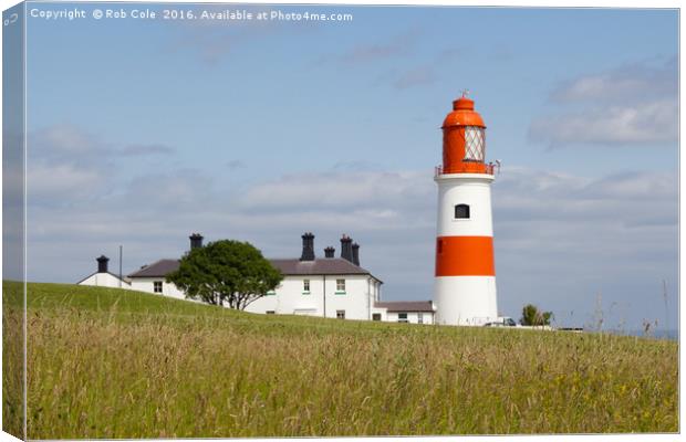 Souter Lighthouse, Whitburn, Sunderland, Tyne and  Canvas Print by Rob Cole
