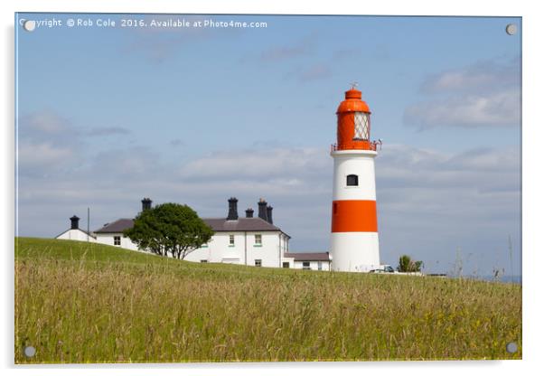 Souter Lighthouse, Whitburn, Sunderland, Tyne and  Acrylic by Rob Cole