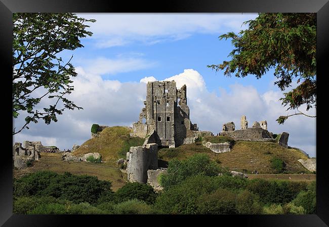 Corfe Castle and Corfe Dorset Framed Print by David French