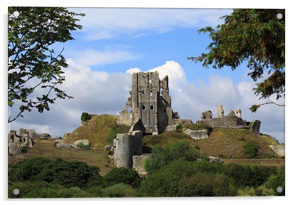 Corfe Castle and Corfe Dorset Acrylic by David French