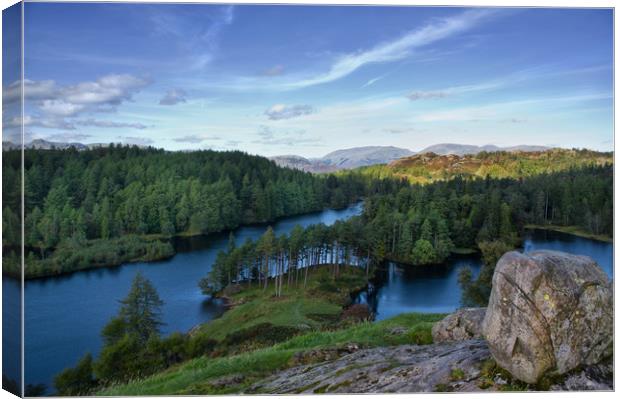 View Across Tarn Hows, the Lake District Canvas Print by Jacqi Elmslie