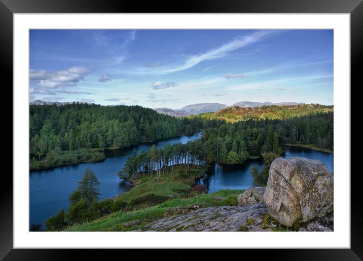View Across Tarn Hows, the Lake District Framed Mounted Print by Jacqi Elmslie