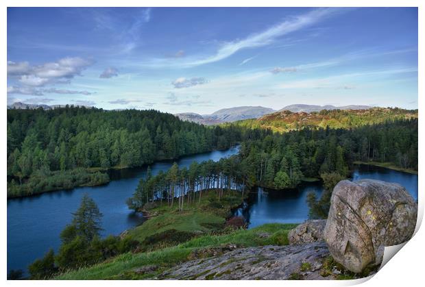 View Across Tarn Hows, the Lake District Print by Jacqi Elmslie