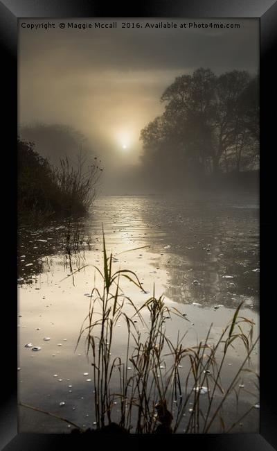 Misty Winter Sunrise on Tamar River, Devon Framed Print by Maggie McCall