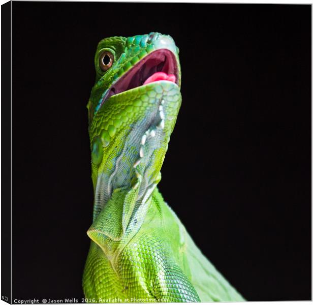 Square crop of a Green Iguana Canvas Print by Jason Wells