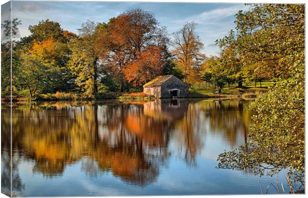 The Lake . Canvas Print by Irene Burdell