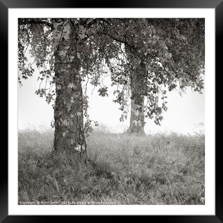 Trees at Sarna. Framed Mounted Print by Garry Smith