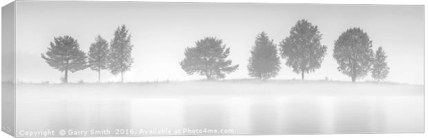 Eight Trees at Sarna. Canvas Print by Garry Smith