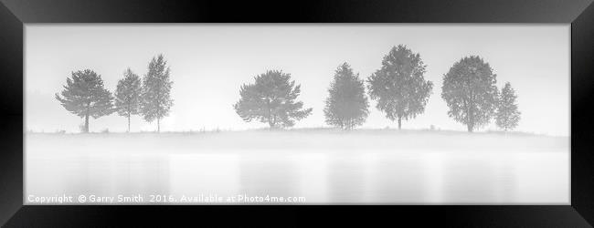 Eight Trees at Sarna. Framed Print by Garry Smith