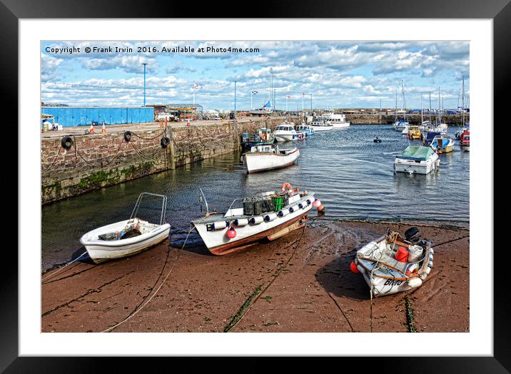 Serene, sunny Paignton harbour Framed Mounted Print by Frank Irwin